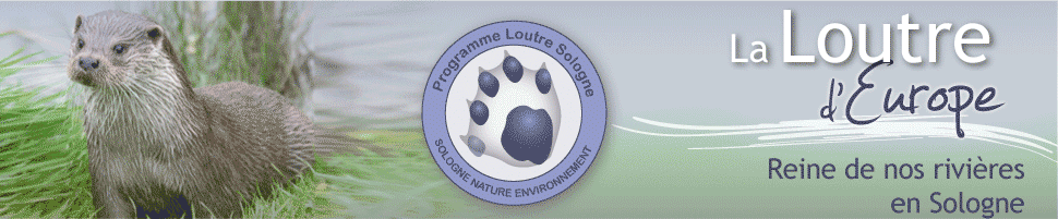 visuel-loutre