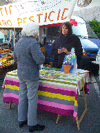 stand-zp