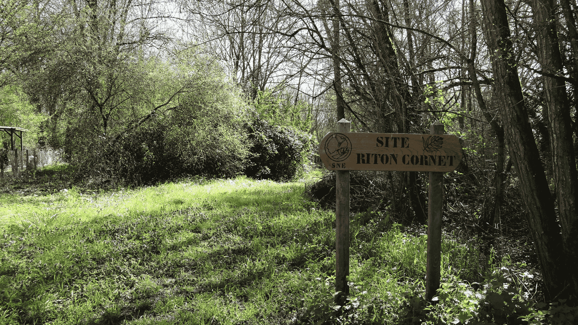 Site Riton Cornet - La nature en ville