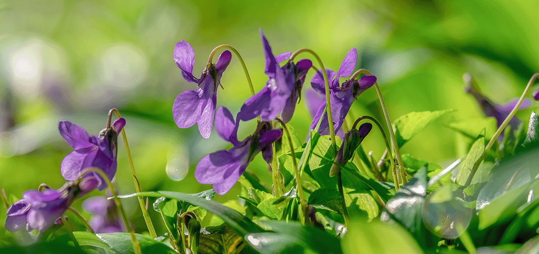 4-sortie-initiation-terrain