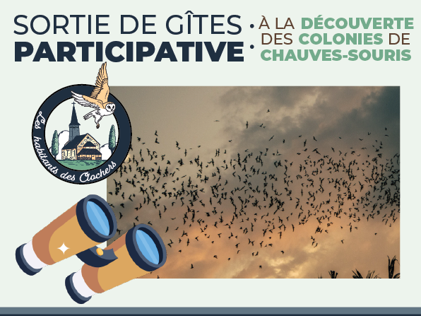 Affiche_gites_participatifs