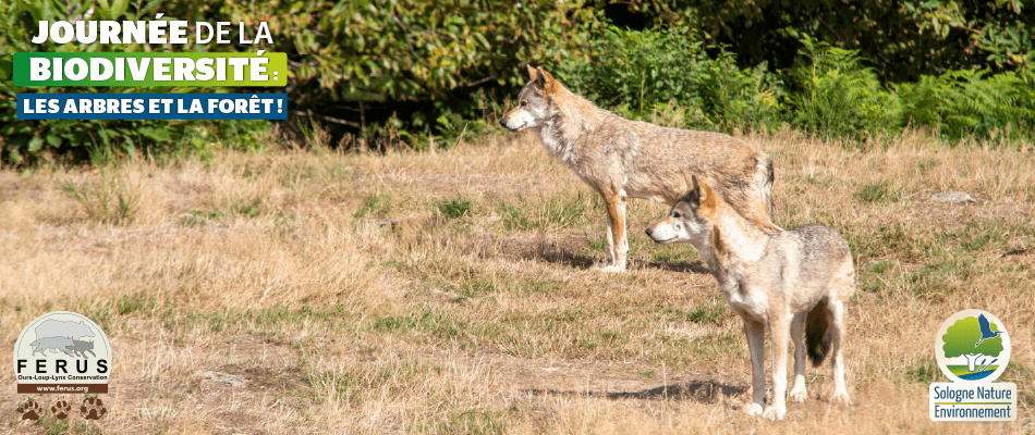 banniere_event_conf-8