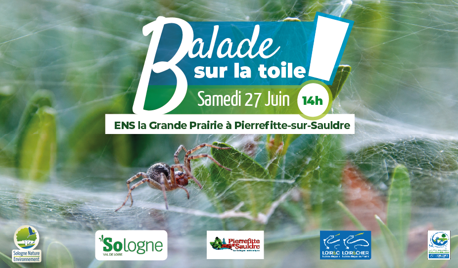 ens41_pierrefitte_web