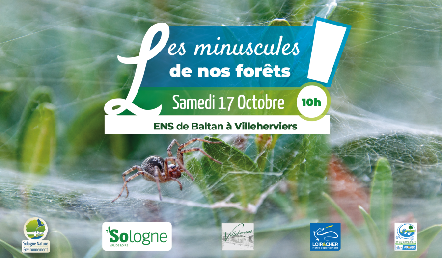 ens41_villeherviers_17 oct3x
