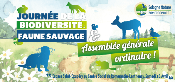 mail_invitation_recto_2026-8